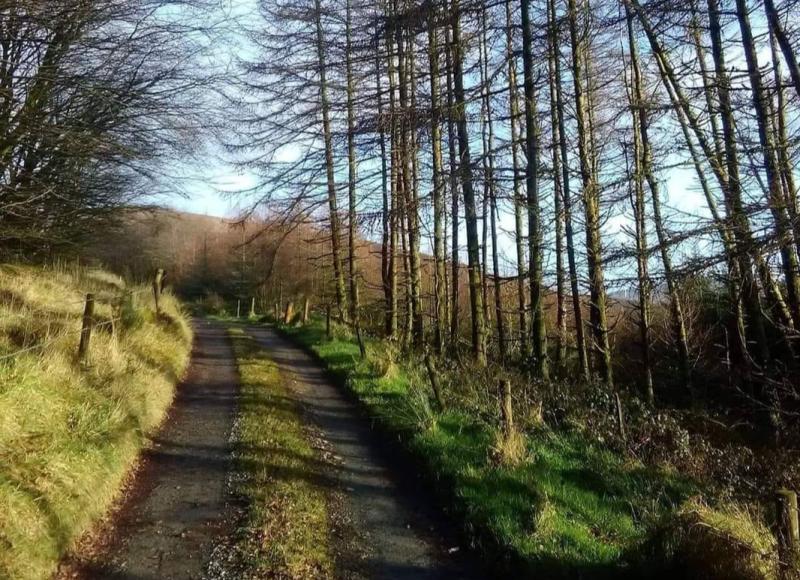 Annual St Stephen's Day walk in Limerick village in memory of beloved Niamh Berkery