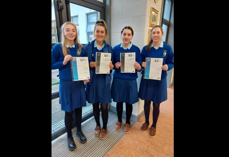 Ursuline students compete to represent Thurles Rotary Club at national youth competition