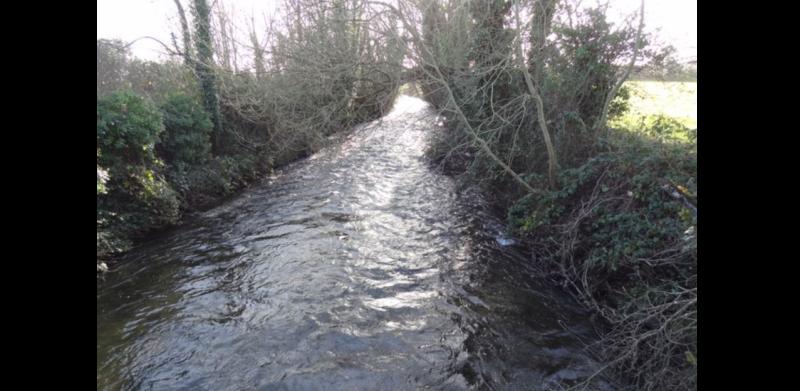 Tipperary man fined by IFI for destruction of fishing habitat on well-known river
