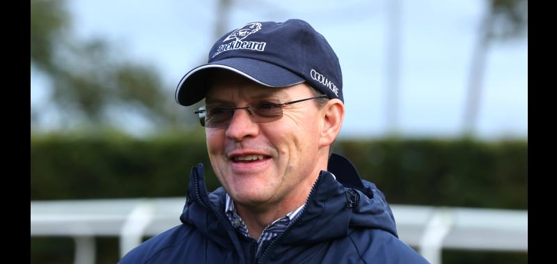 Landmark winner for Tipperary-based trainer Aidan O'Brien at Irish Champions Festival