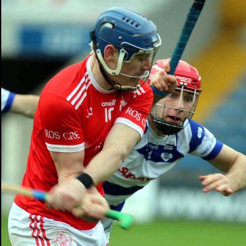 Roscrea lose out in Munster final to Monaleen