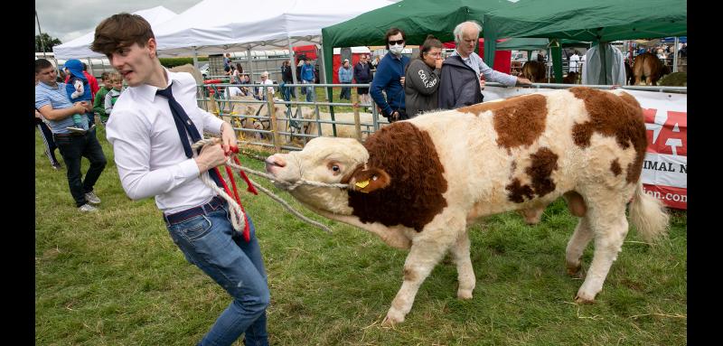 Government funding announced for agricultural shows in Tipperary