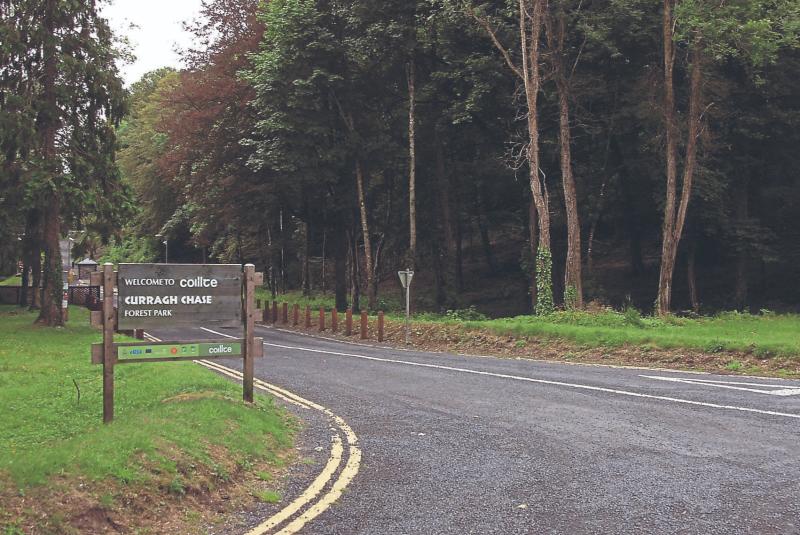 Limerick forest park among most visited