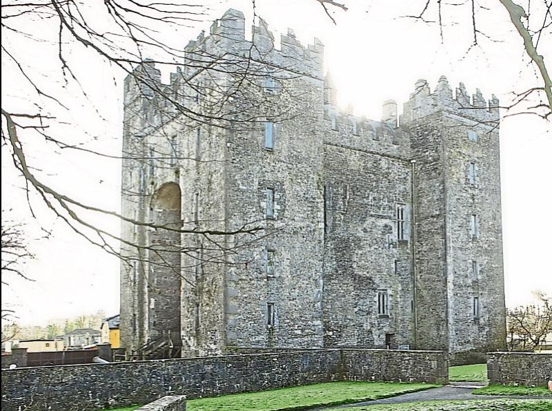 One Tipperary Women's Group will be doing the Christmas Party in real style this year