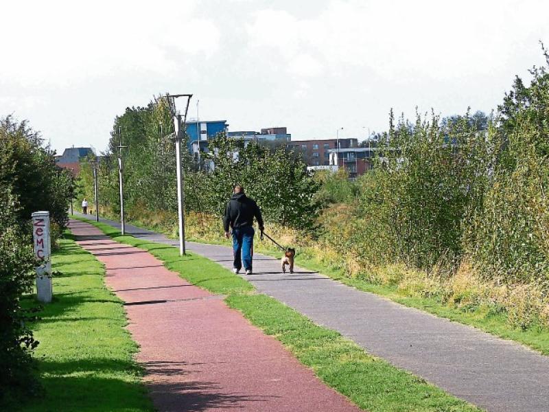 Popular Limerick walking route to close temporarily for hedgecutting works