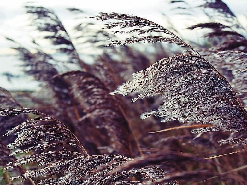 Louth Weather: Another bright and rather breezy day with sunny spells and scattered showers