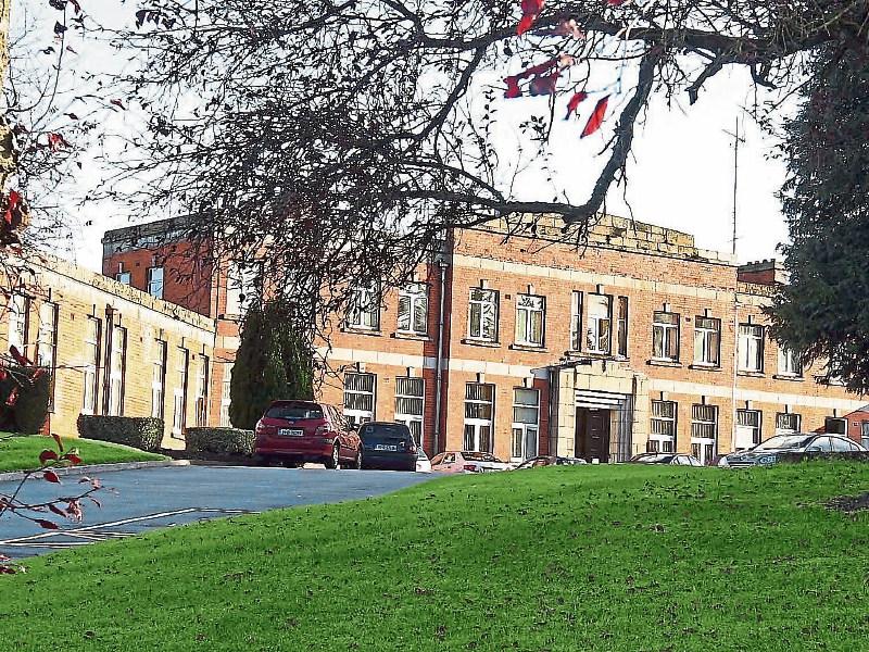 Future of Abbeyleix adult day care service 'precarious' - Laois TD