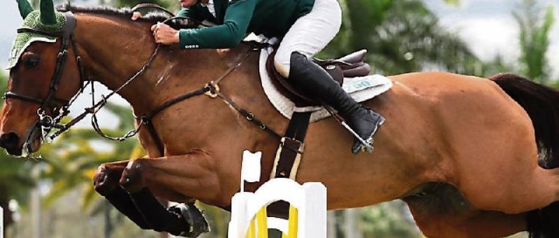 Kilkenny show jumpers perform well in UK competition 