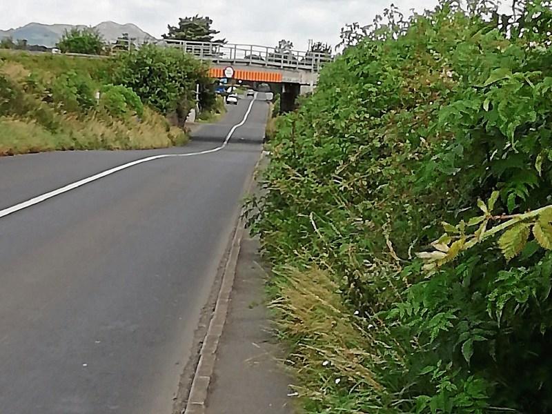 Drivers advised to exercise caution due to summer overgrowth in Kilkenny