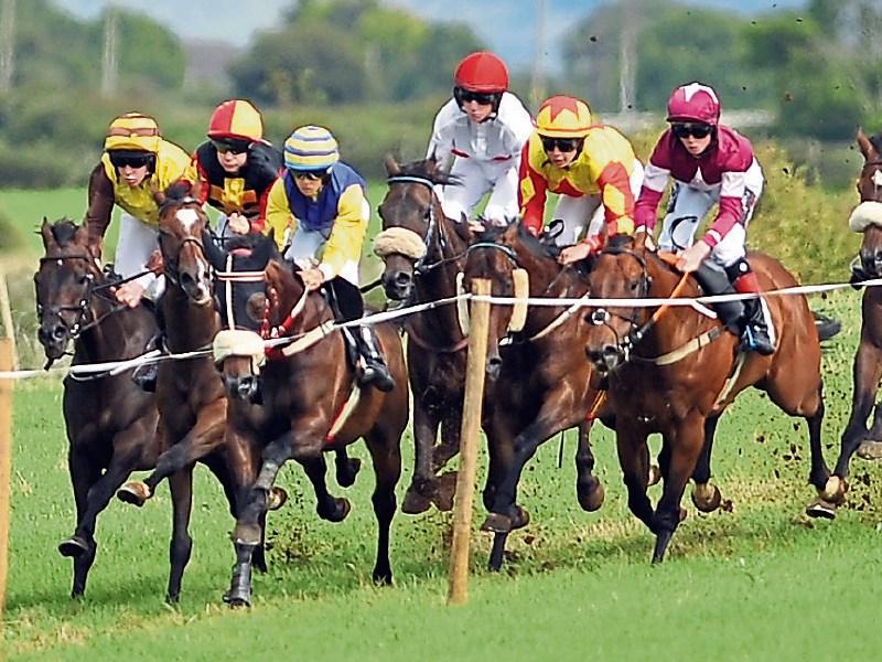 Councillors fear proposed TV betting ad ban would  damage Tipperary's three racecourses 