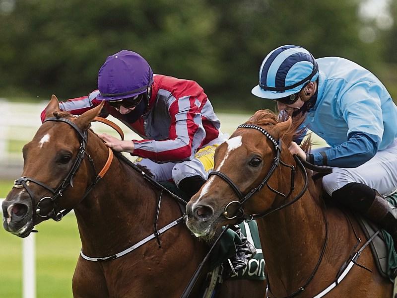 Tipperary races