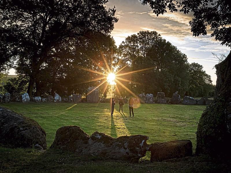 Wild About Wildlife: Ancient wonder in Grange