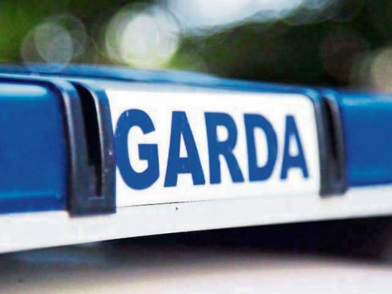 Gardaí investigate criminal damage to windows of house in rural Tipperary community 