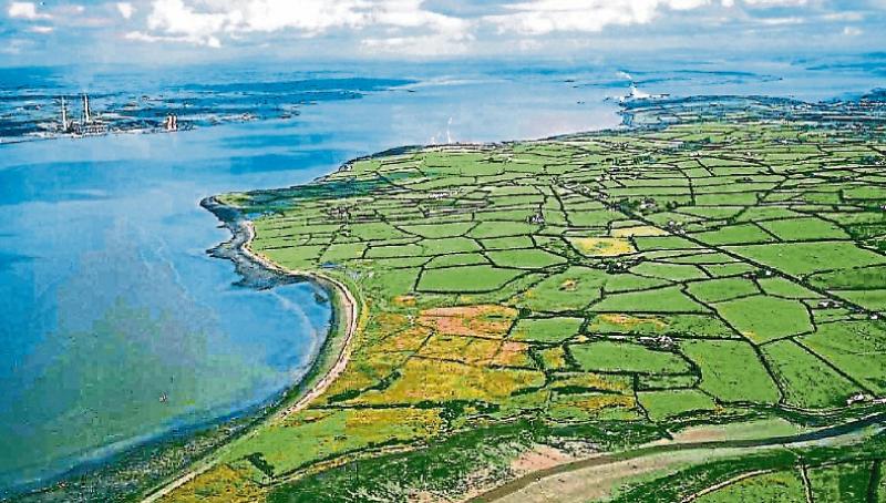 Tipperary TD clashes with Taoiseach on Shannon pipe plan in the Dáil