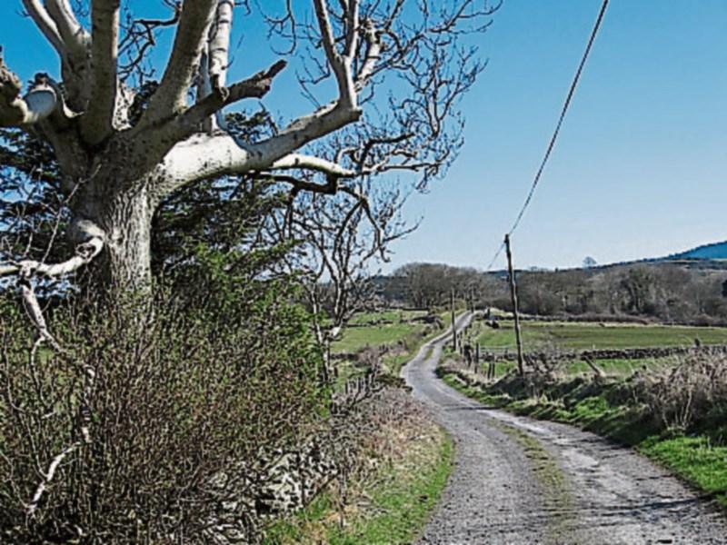 Over half a million euros in additional funding secured to improve private roads in Carlow