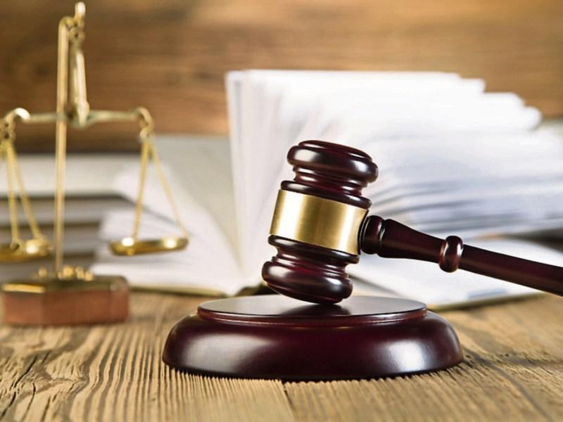 Longford District Court: Dogs were 'worrying' cattle