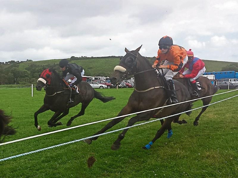 Bundoran Races are back this Sunday in Finner&nbsp;
