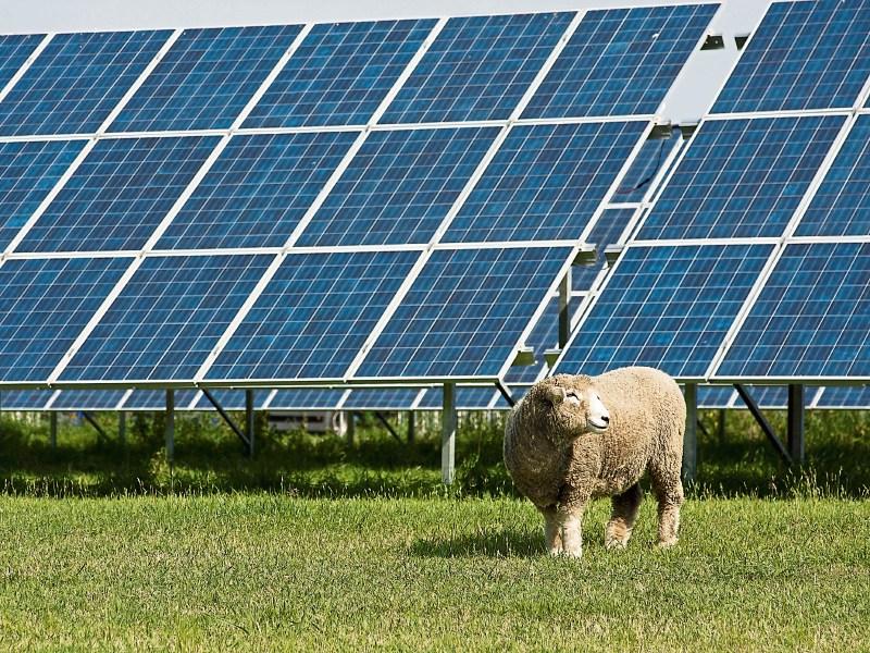 413 acre Knockdinnin Solar Farm in Louth gets go ahead in spite of opposition