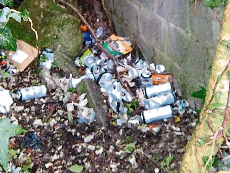 ALERT: New CCTV cameras in Carlow capture shocking number of people littering and dumping 