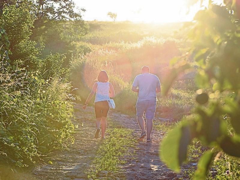 Popular Tipperary walking route to get new pathway after planning gets green light