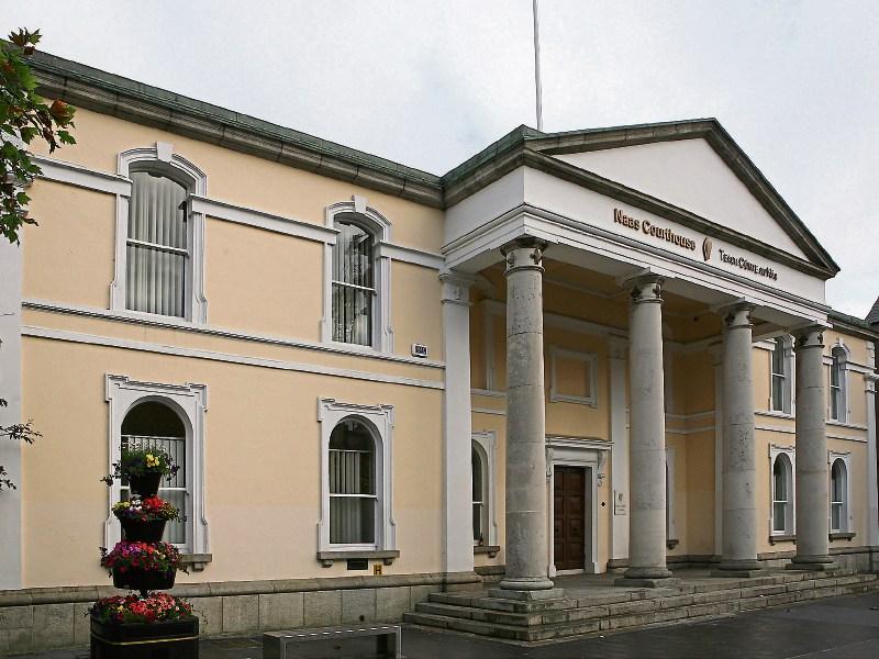 Produced axe in Kildare shop &mdash; alleged