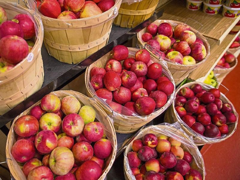 Guided walk of Tipperary apple farm planned for Biodiversity Week