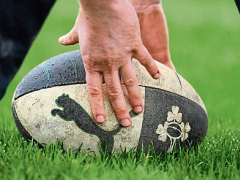 Tipperary Rugby: Kilfeacle leave  empty-handed from visit to Munster champions, Newcastle West