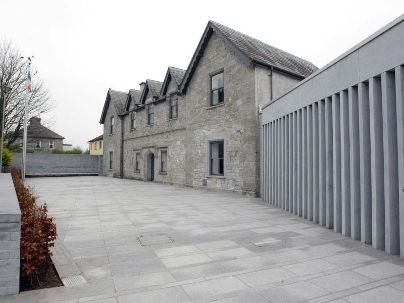 Ban for motorist who was caught driving alongside sulky race on busy Limerick road