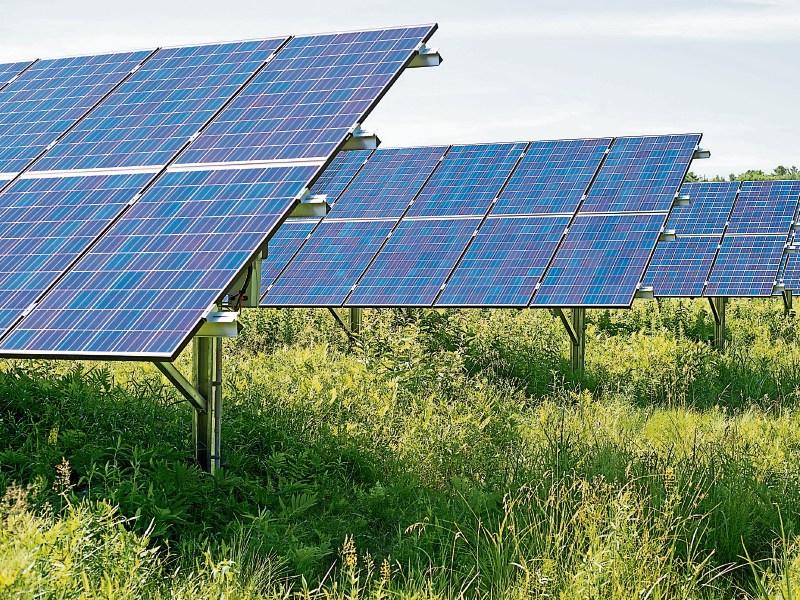 Go ahead given for large solar farm in Louth
