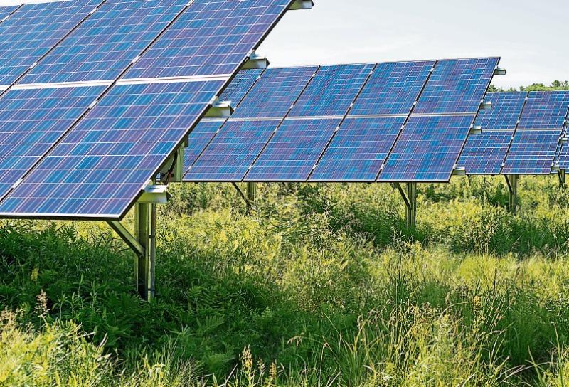 Solar farm 