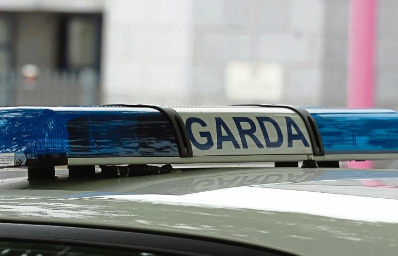 Similar collision on same Limerick road hours before fatality occurred