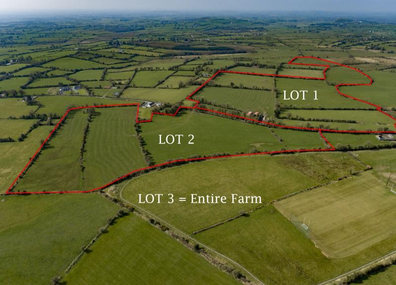 Online and in person bidders go toe-to-toe for €1.2m farm on Limerick-Tipperary border