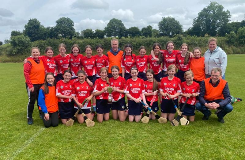 PICTURES: Round up of last weekend's U14 County finals