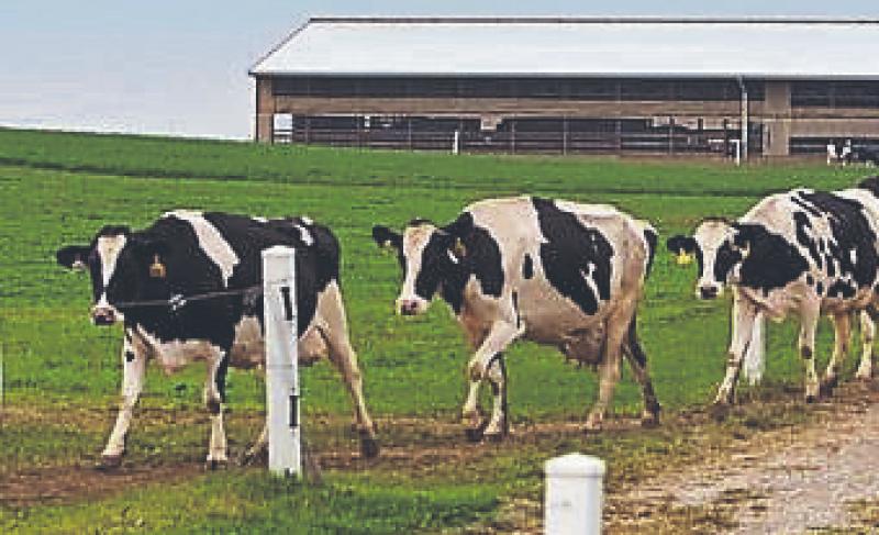 Farm families encouraged to attend County Executive meeting of South Tipperary IFA