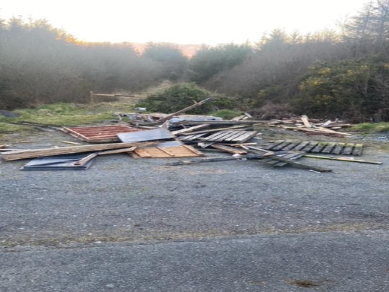 CCTV needed to combat Mullinavat beauty-spot dumping