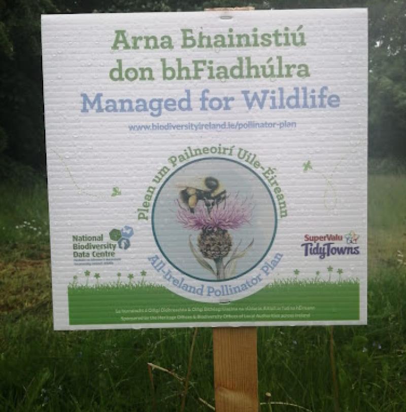 Kilkenny school students set up new biodiversity area