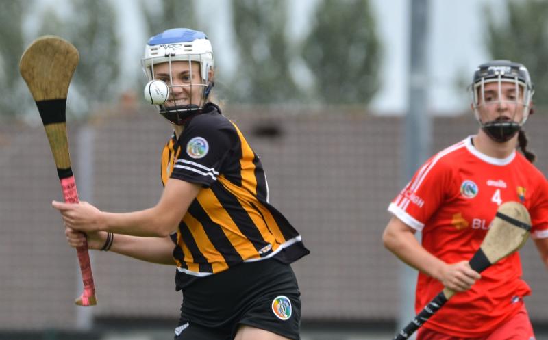 Kilkenny Intermediates in full control during Tipperary clash