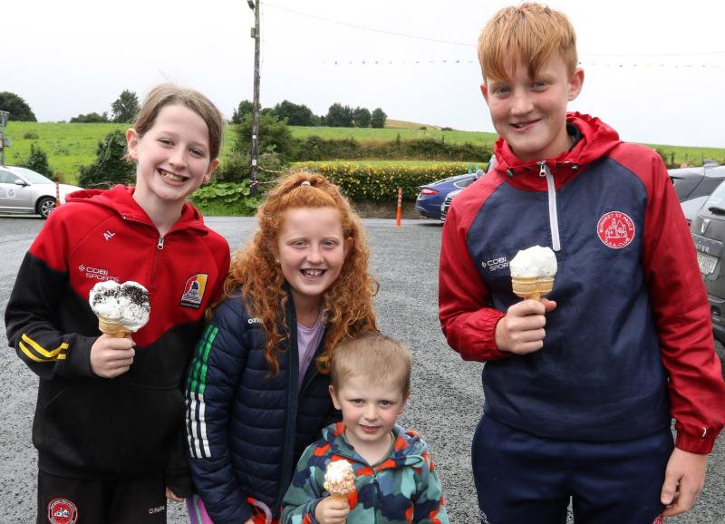 In Pictures: Family fun festival held in Limerick village 
