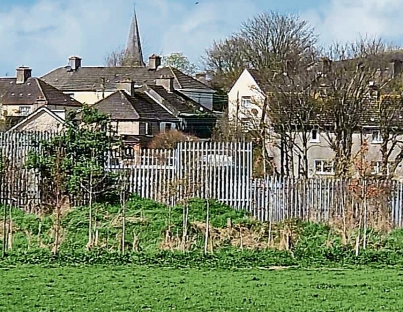 Rail fences to be sealed to stop vandals accessing Limerick park