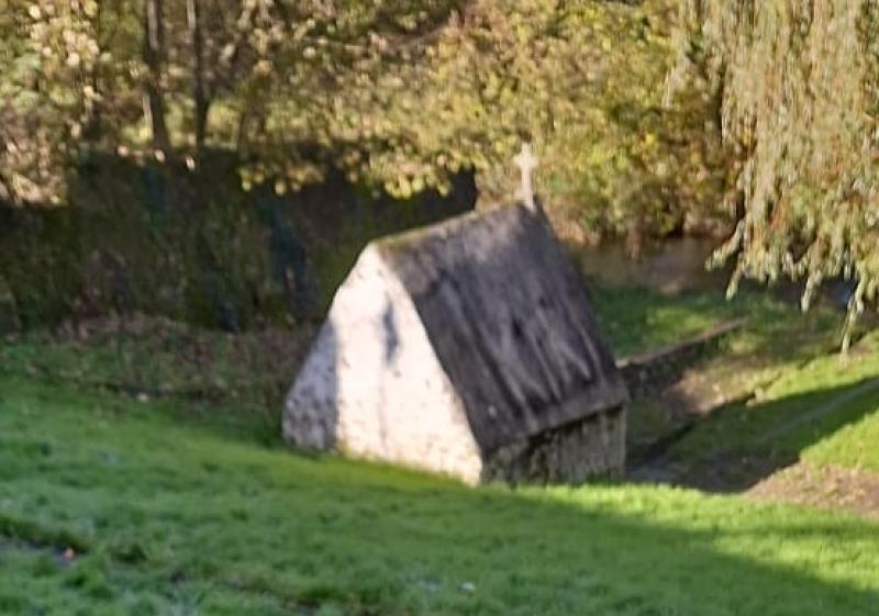 Calls for action at Kenny's Well in Kilkenny 