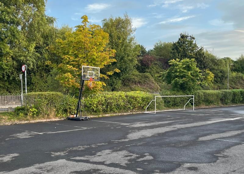 Vandalism in Carrick-on-Shannon criticised