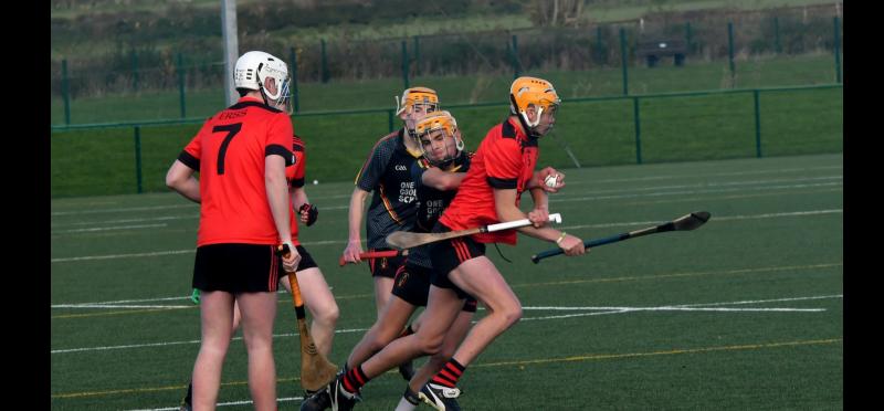Tipperary school Carrick CBS lose big lead and place in knockout phase of Harty Cup 