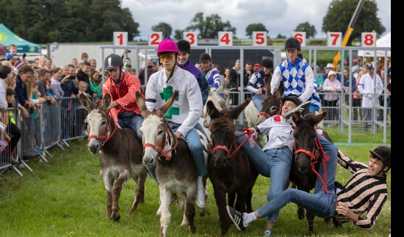 Crowd record smashed at action-packed Clonmel Agricultural Show 