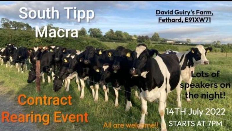 Young Tipperary farmers group to host information evening about contract rearing on Fethard farm 