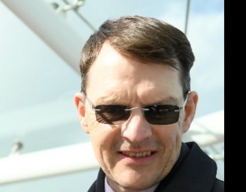Aidan O'Brien has trained yet another Epsom Derby winner in Tipperary