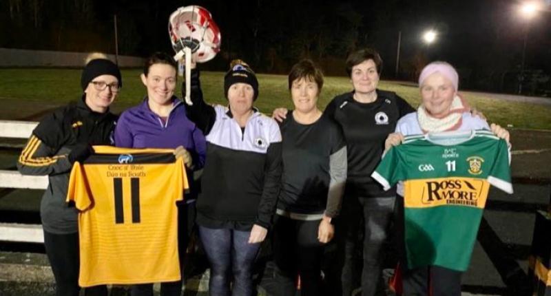 Everyone got involved to  support the Dillon Quirke 24-hour fundraising run  in Tipperary