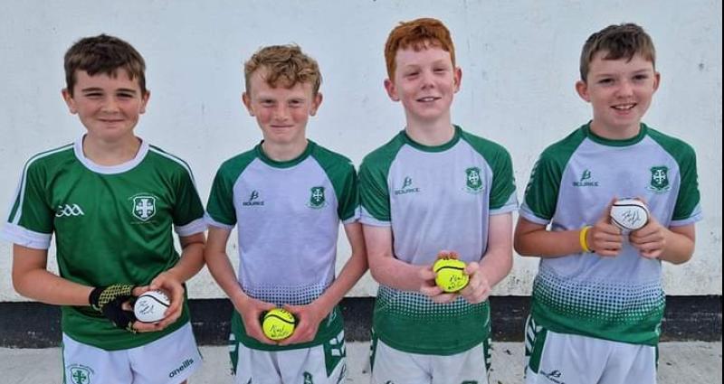 Sliotars autographed by Tipperary hurlers on sale for good cause at Village Market 