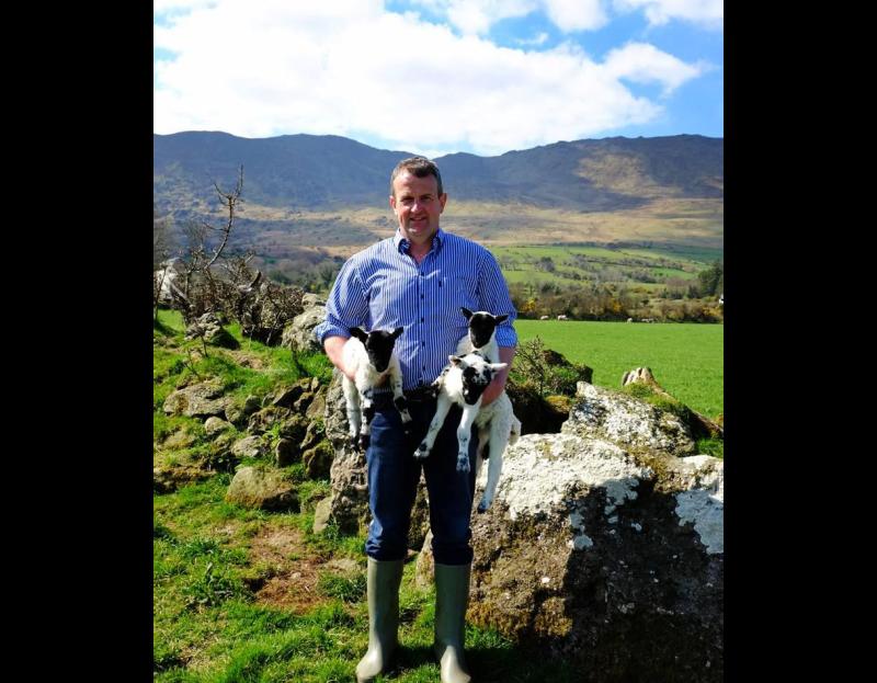 Final countdown to Comeraghs Wild Festival that runs from July 6 to 9