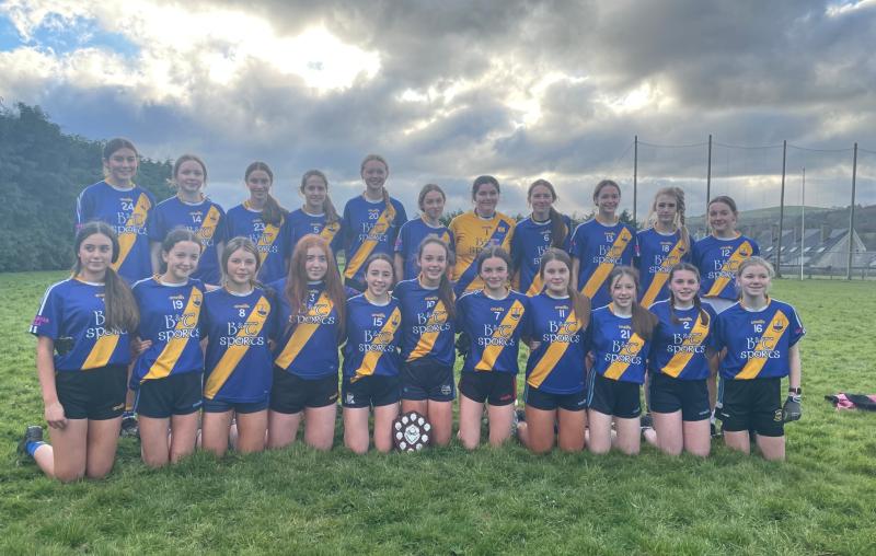 PICTURES: Team photos from last weekends ladies football Feile action
