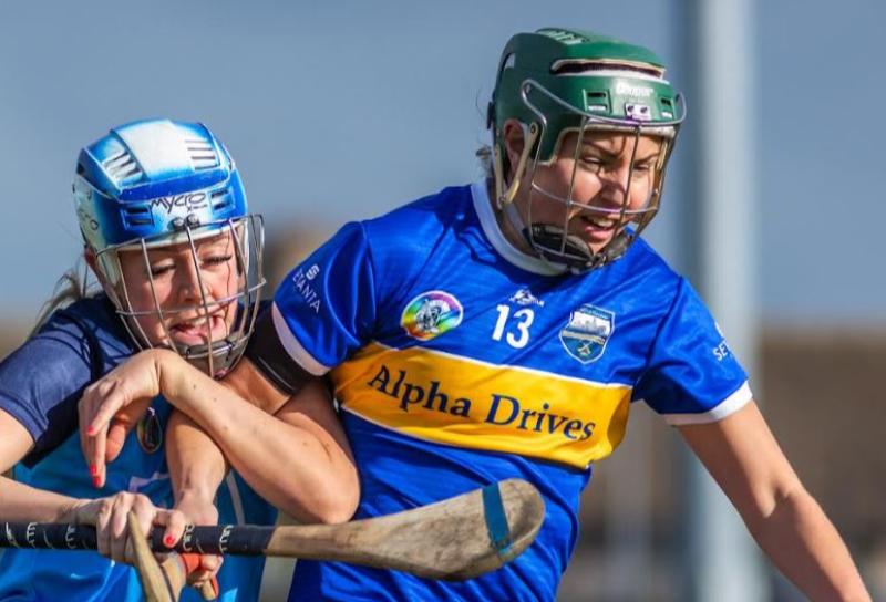 Tipperary's senior camogie team travel east to face rejuvenated Wexford side 